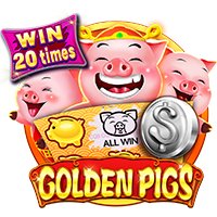 Golden Pigs